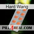 Hard Wang 26